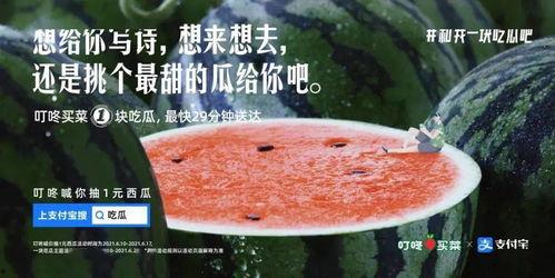 文案吃瓜,吃瓜群众带你领略幕后风云