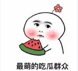 吃瓜群众没看到瓜,吃瓜群众为何没看到瓜背后的真相